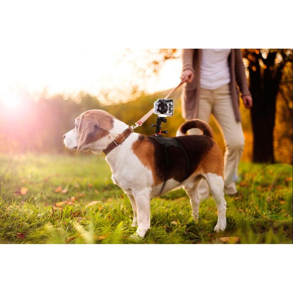 Fetch (cinturão canino) para GoPro e câmeras de ação