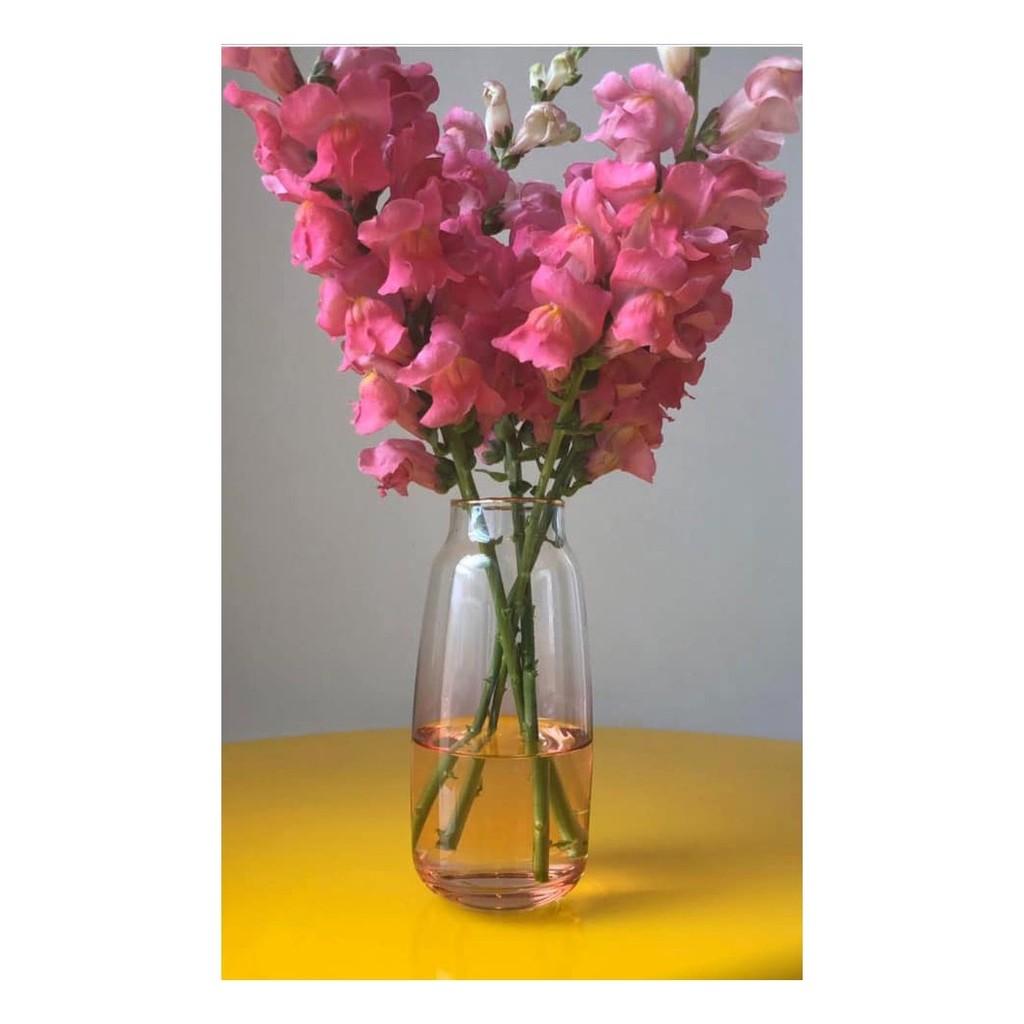 Vaso Ombré de Vidro Transparente em Degradê cor Coral 8 cm x 17 cm