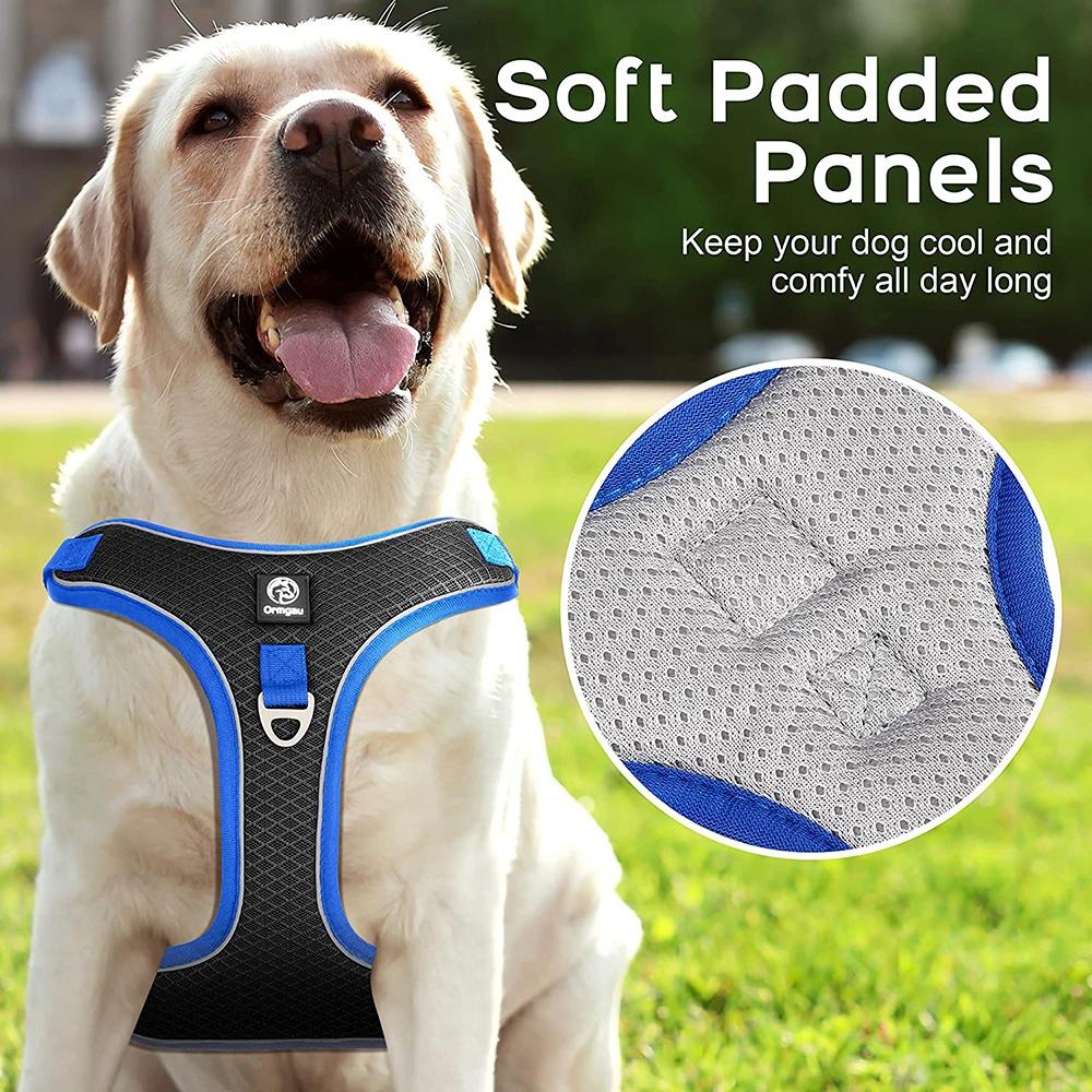 Peitoral e Guia para cachorros ajustável com duplo anel para maior segurança - G