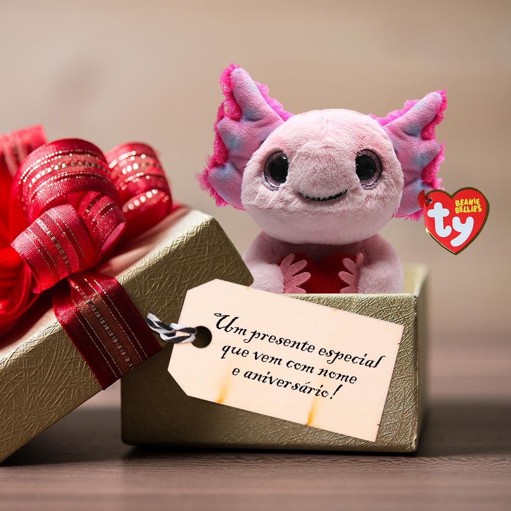 Pelúcia Colecionável Fofa Com Data De Aniversário TY Beanie Bellies Toyng