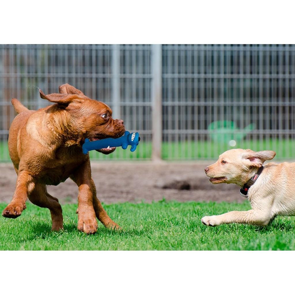 Brinquedo Pet para cães Loofa Dog com 15 cm