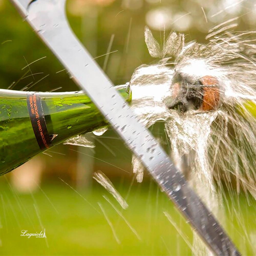 Kit Espumante Miguel Torres Rosé e Sabre Laguiole Premium