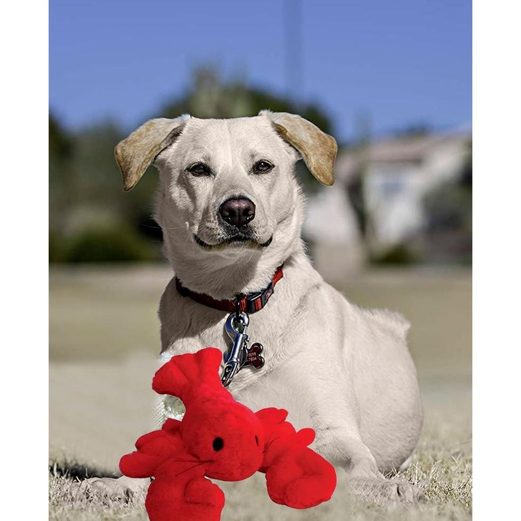 Brinquedo Pet Look Who´s Talking: Lagosta