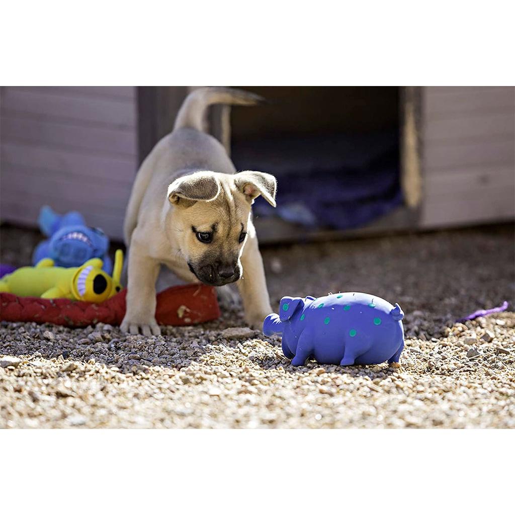 Brinquedo Pet Globlet Pig para cães