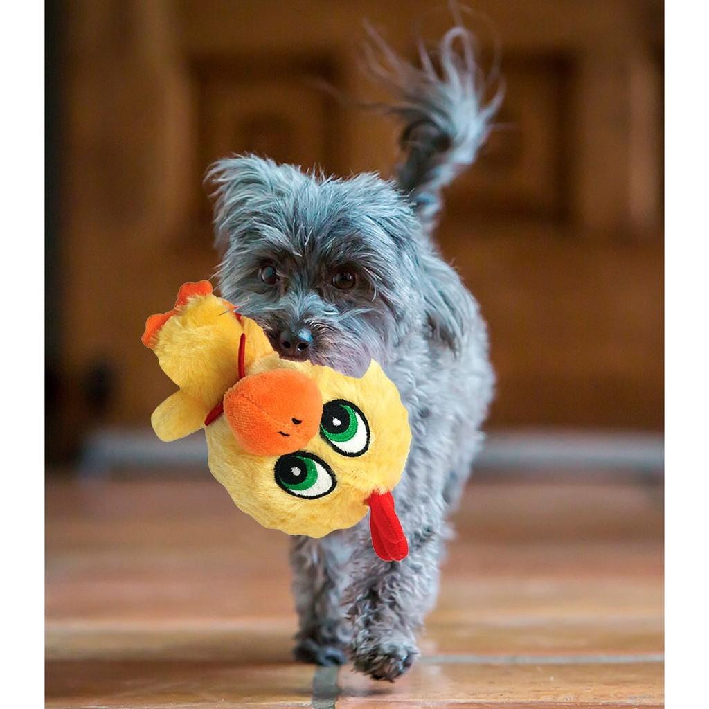 Brinquedo Pet Cuzzle Buddies Galinha