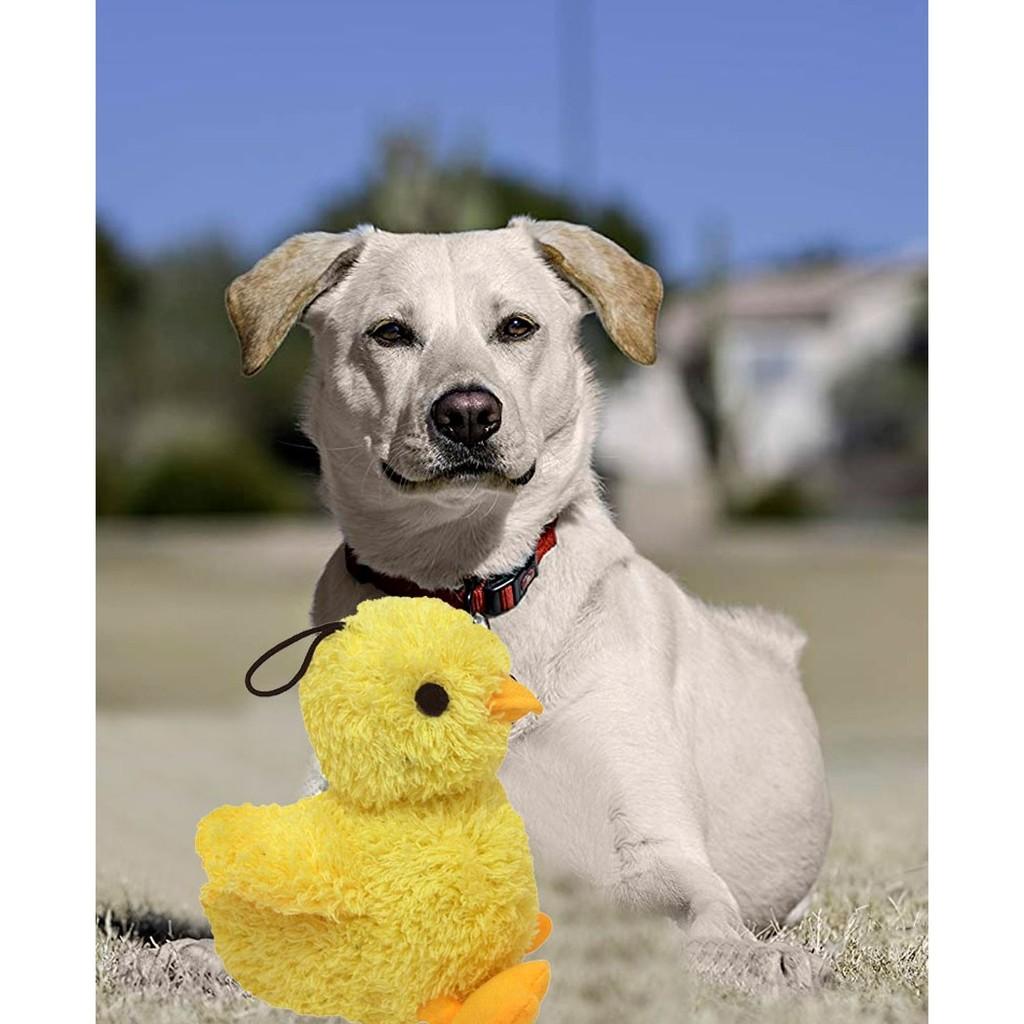 Brinquedo Pet Look Who´s Talking: Pintinho amarelinho