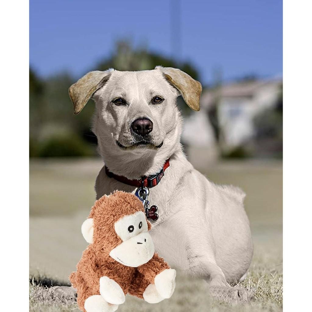 Brinquedo Pet Look Who´s Talking: Macaco
