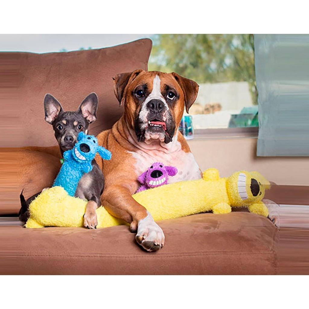 Brinquedo Pet para cães Loofa Dog com 30 cm