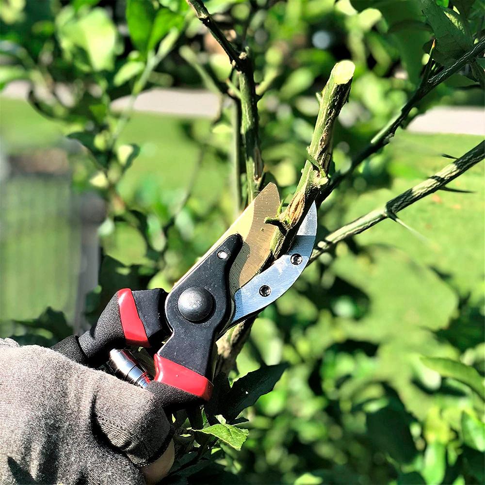 Tesoura em Titânio para jardinagem com acionamento por mola