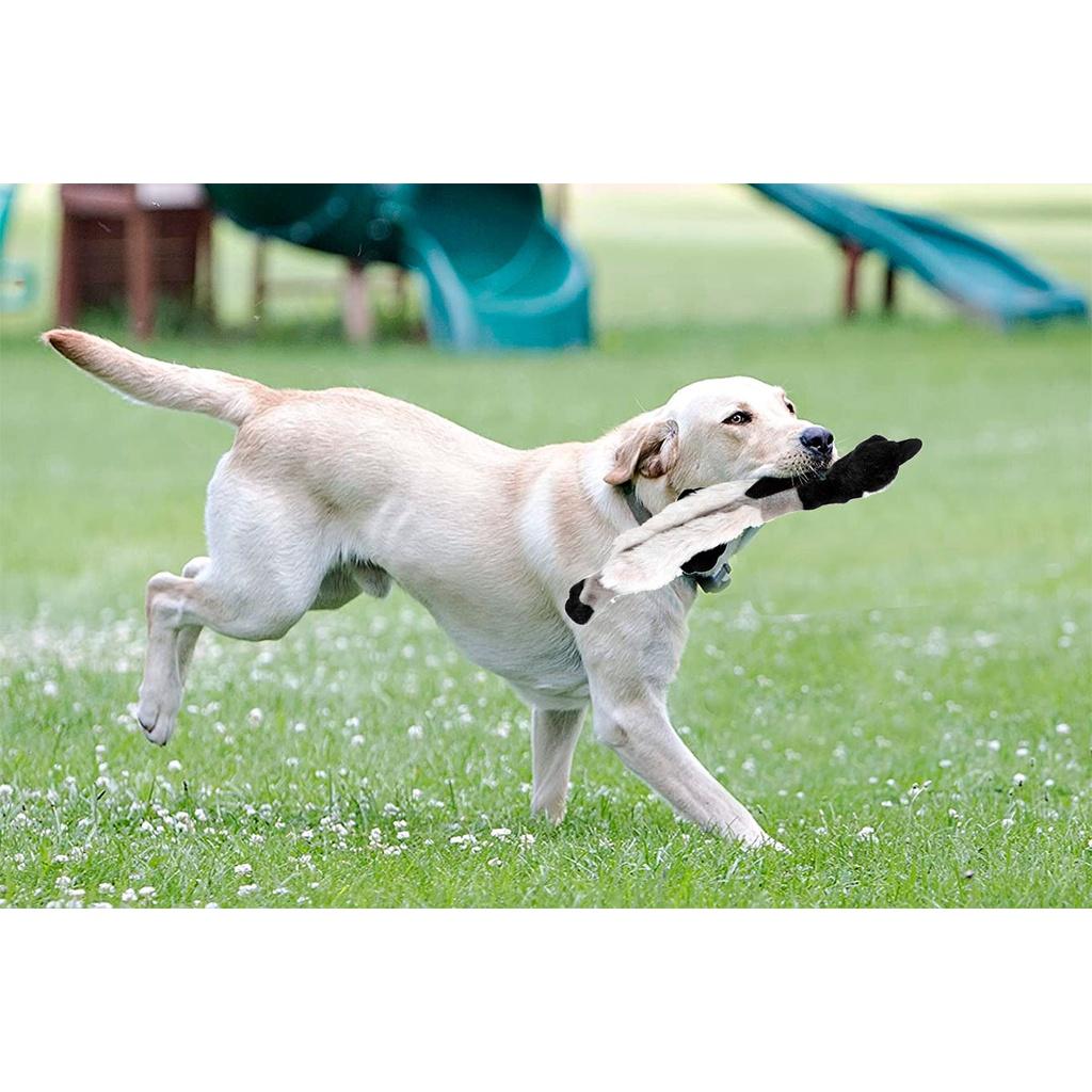 Brinquedo Pet Cuzzle Buddies Ave para cães