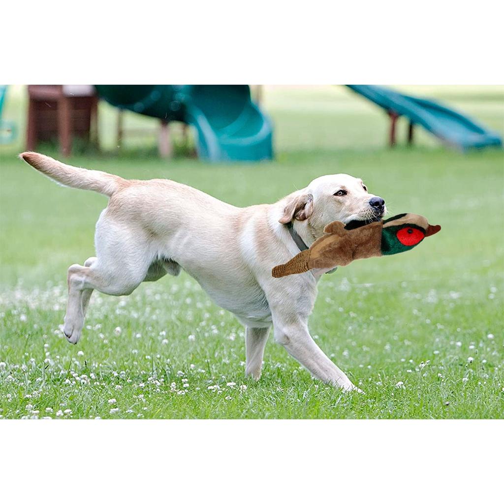 Brinquedo Pet Cuzzle Buddies Ave para cães