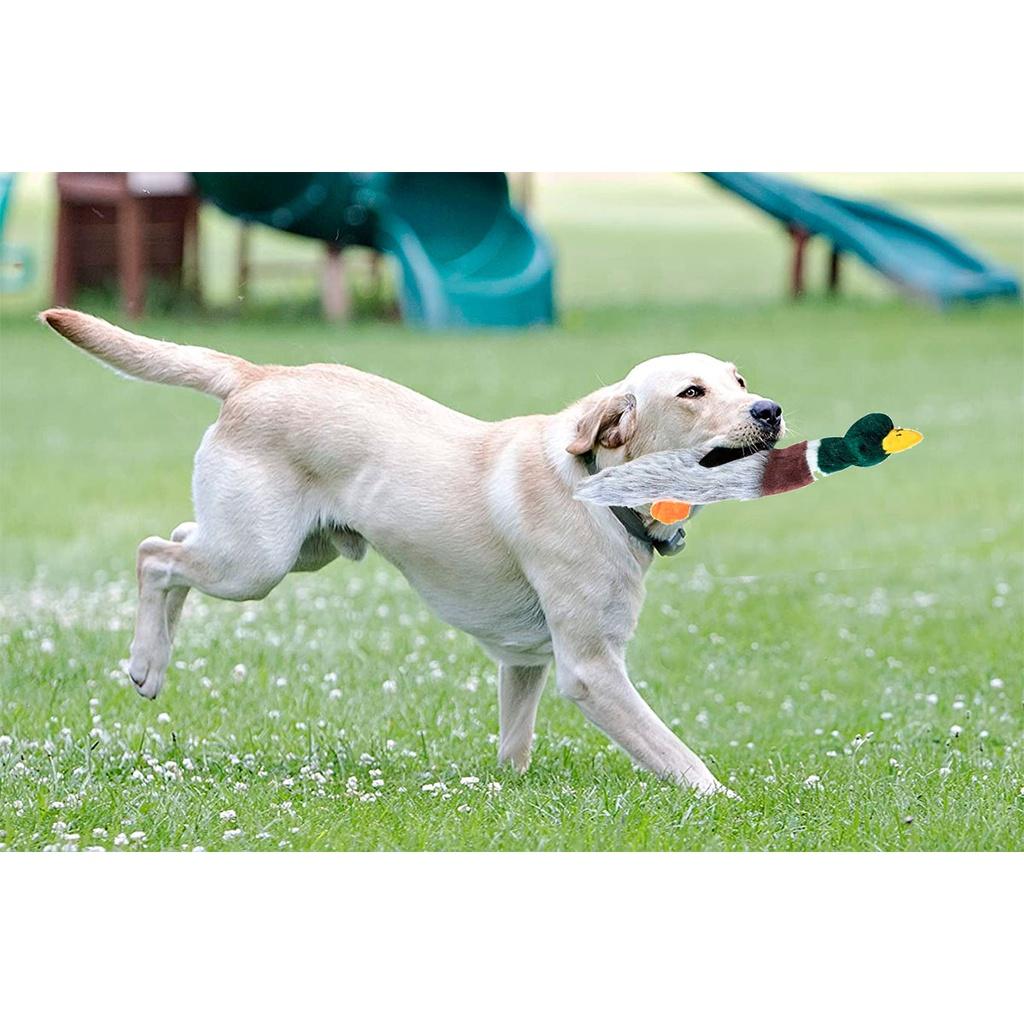 Brinquedo Pet Cuzzle Buddies Ave para cães