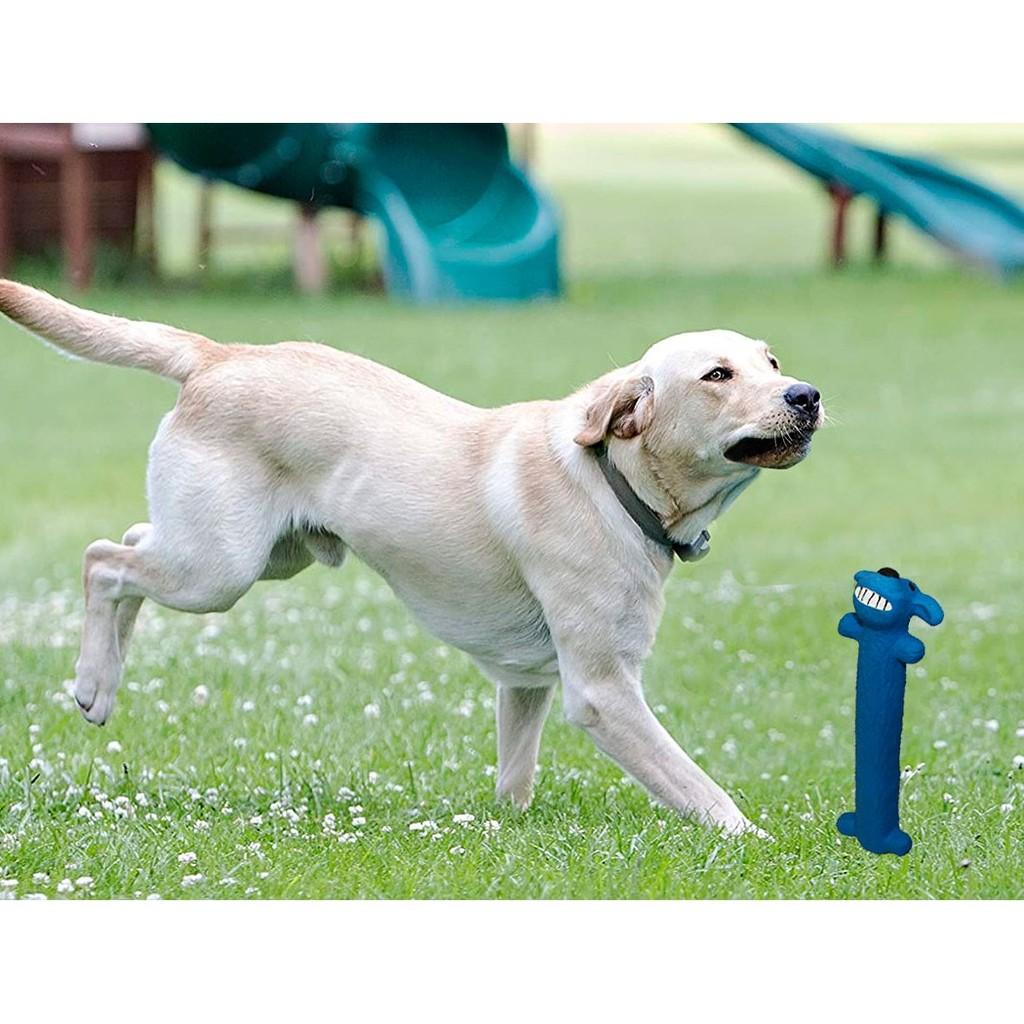 Brinquedo Pet para cães Loofa Dog com 15 cm