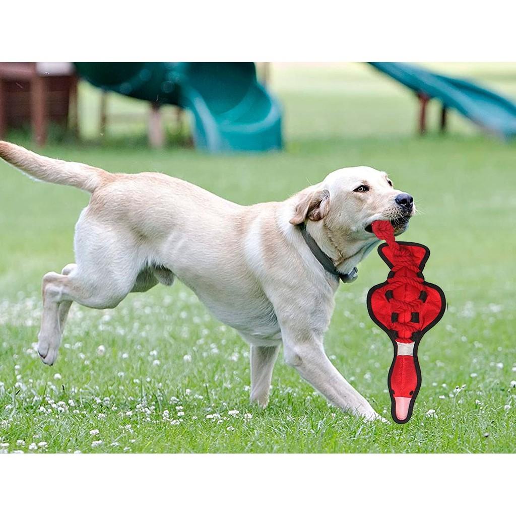 Brinquedo Pet Tuff Enuff Pato para cães ativos