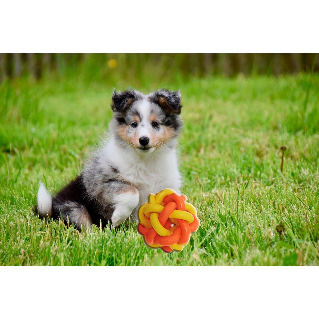 Brinquedo Pet Ruff Enuff Bola Estrela para cães ativos
