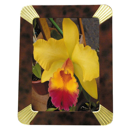 Porta-retrato 13 x 18 cm