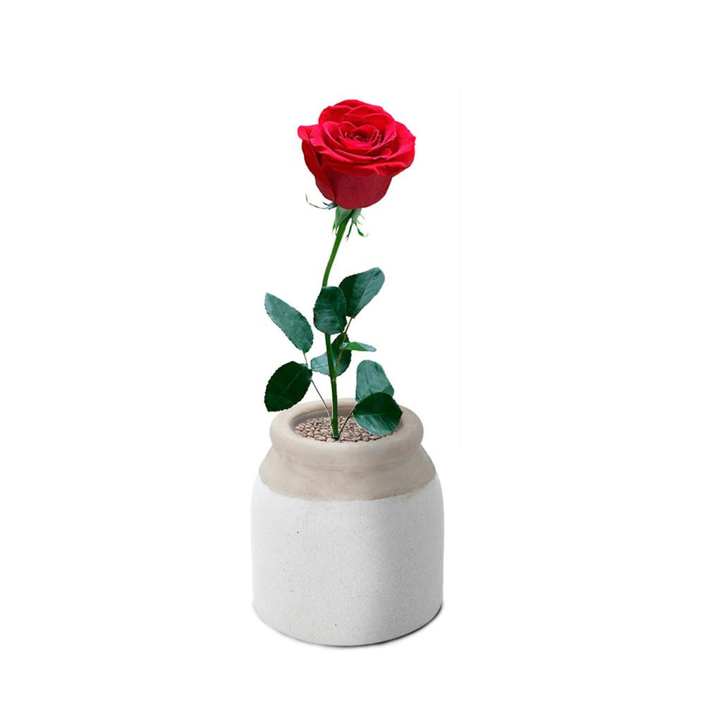 Vaso decorativo porcelana marfim 10x10cm