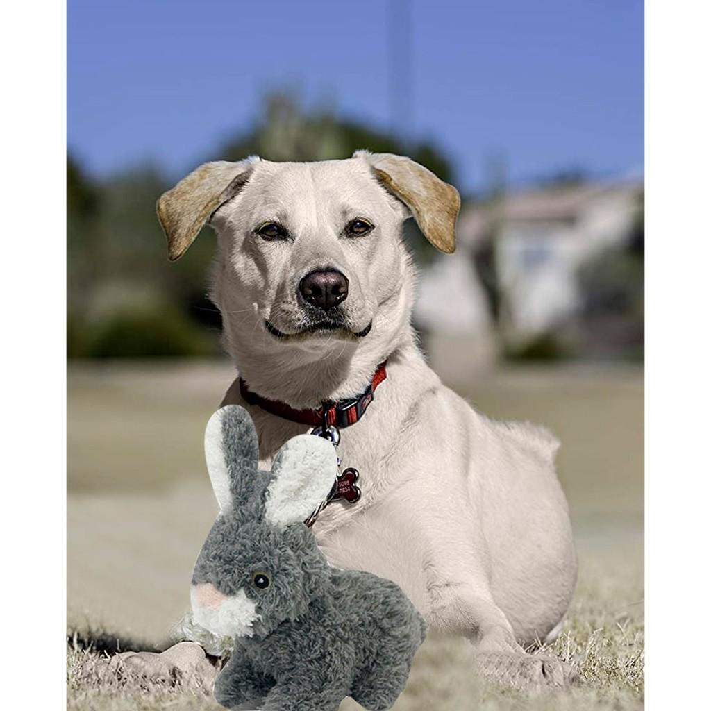 Brinquedo Pet Look Who´s Talking: Coelhinho