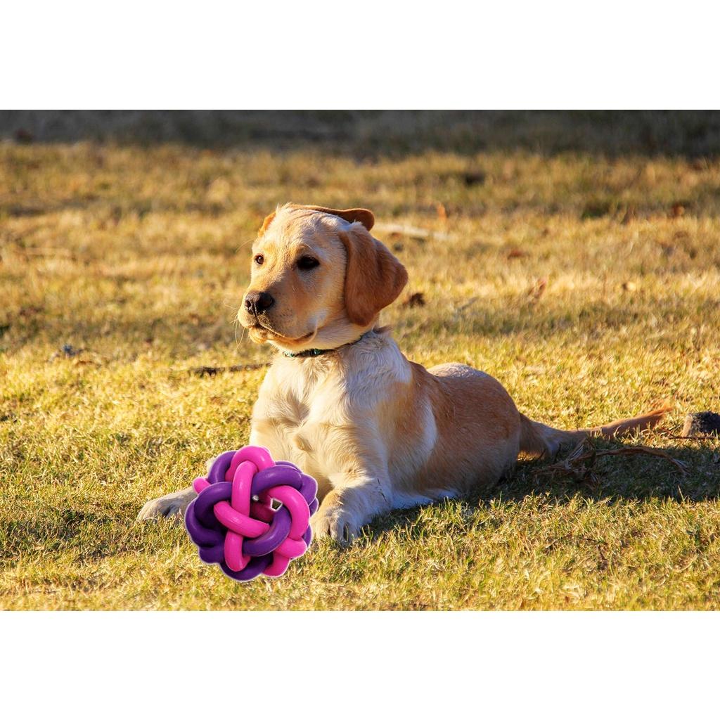 Brinquedo Pet Ruff Enuff Bola Estrela para cães ativos